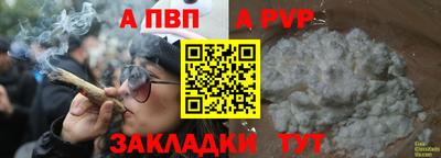 Альфа ПВП Дубна