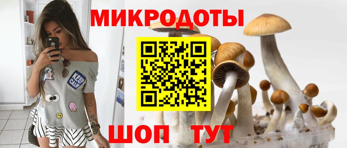 цены   Псилоцибиновые грибы Cubensis  Кыштым  Вход с VPN  Галлюциногенные грибы Magic Shrooms 